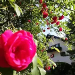 Penzion Fruehstueckspension Helmhof