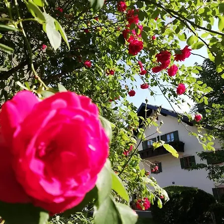 招待所 赫尔姆霍夫弗鲁斯图克斯旅馆