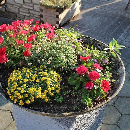 Fruhstuckspension Helmhof 2*