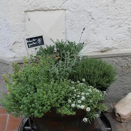 赫尔姆霍夫弗鲁斯图克斯旅馆