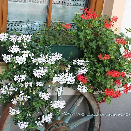 Fruehstueckspension Helmhof בית הארחה זלצבורג