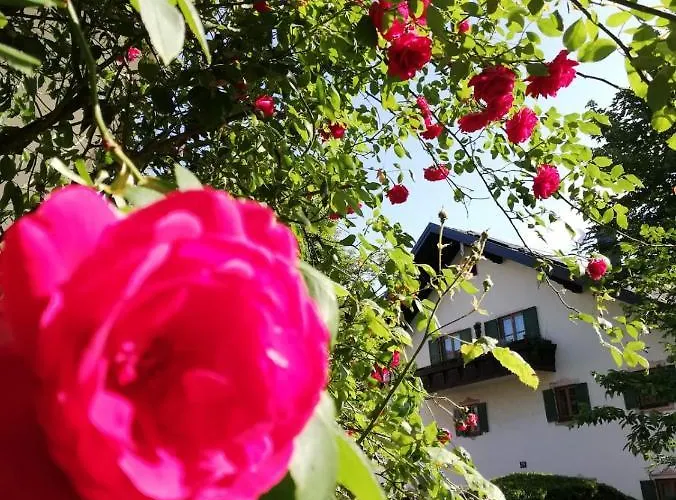 Pensionat Fruhstuckspension Helmhof