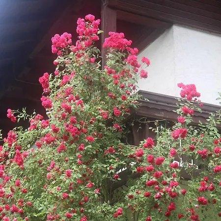 Fruehstueckspension Helmhof Solnohrad