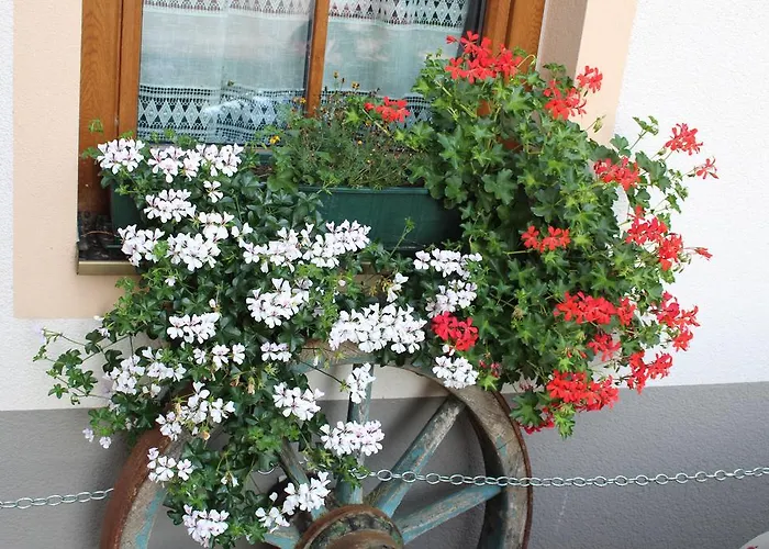 Fruehstueckspension Helmhof Guest house Salzburg