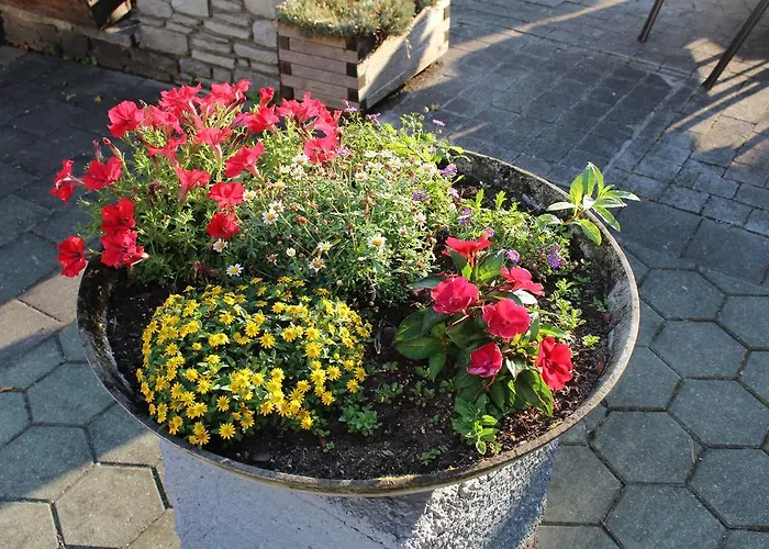 Fruehstueckspension Helmhof 2*