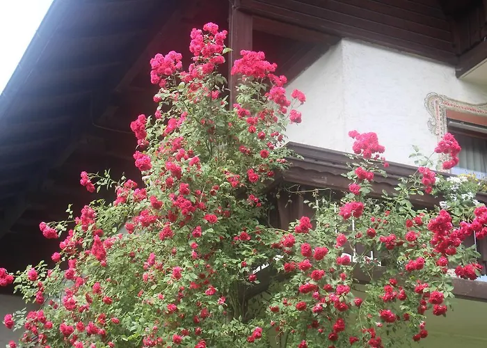 Fruehstueckspension Helmhof Salzburg